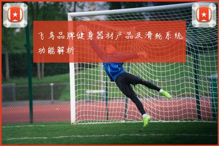 飞鸟品牌健身器材产品及滑轮系统功能解析