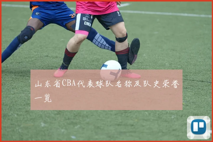 山东省CBA代表球队名称及队史荣誉一览