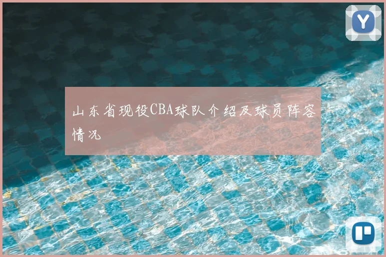 山东省现役CBA球队介绍及球员阵容情况