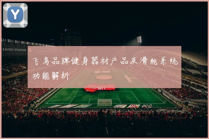 飞鸟品牌健身器材产品及滑轮系统功能解析